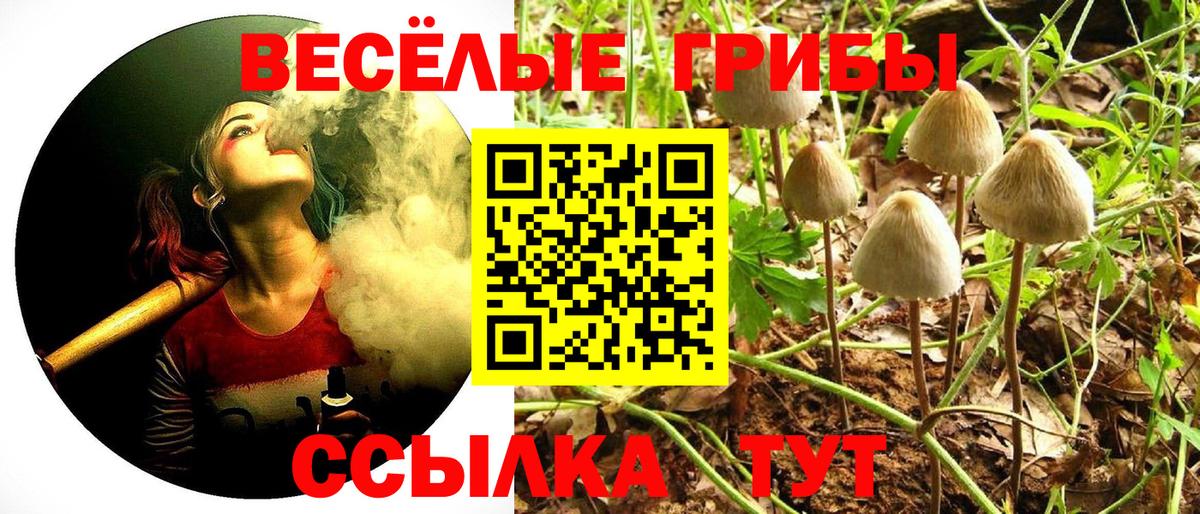 Урус-Мартан  Галлюциногенные грибы ЛСД  Вход с VPN 